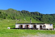 All’Angelo di CIMA CADELLE (2483 m) dalla Baita del Camoscio (1750 m) il 23 giugno 2018 - FOTOGALLERY